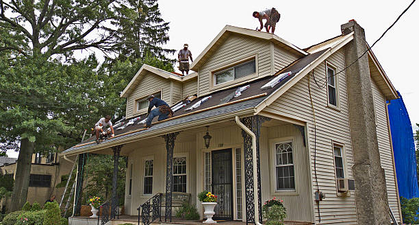 Best Roof Maintenance Services  in Wills Point, TX