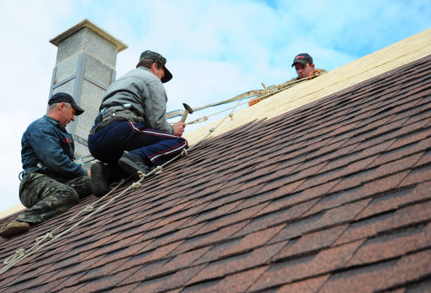 Best Best Roofing Contractors  in Wills Point, TX